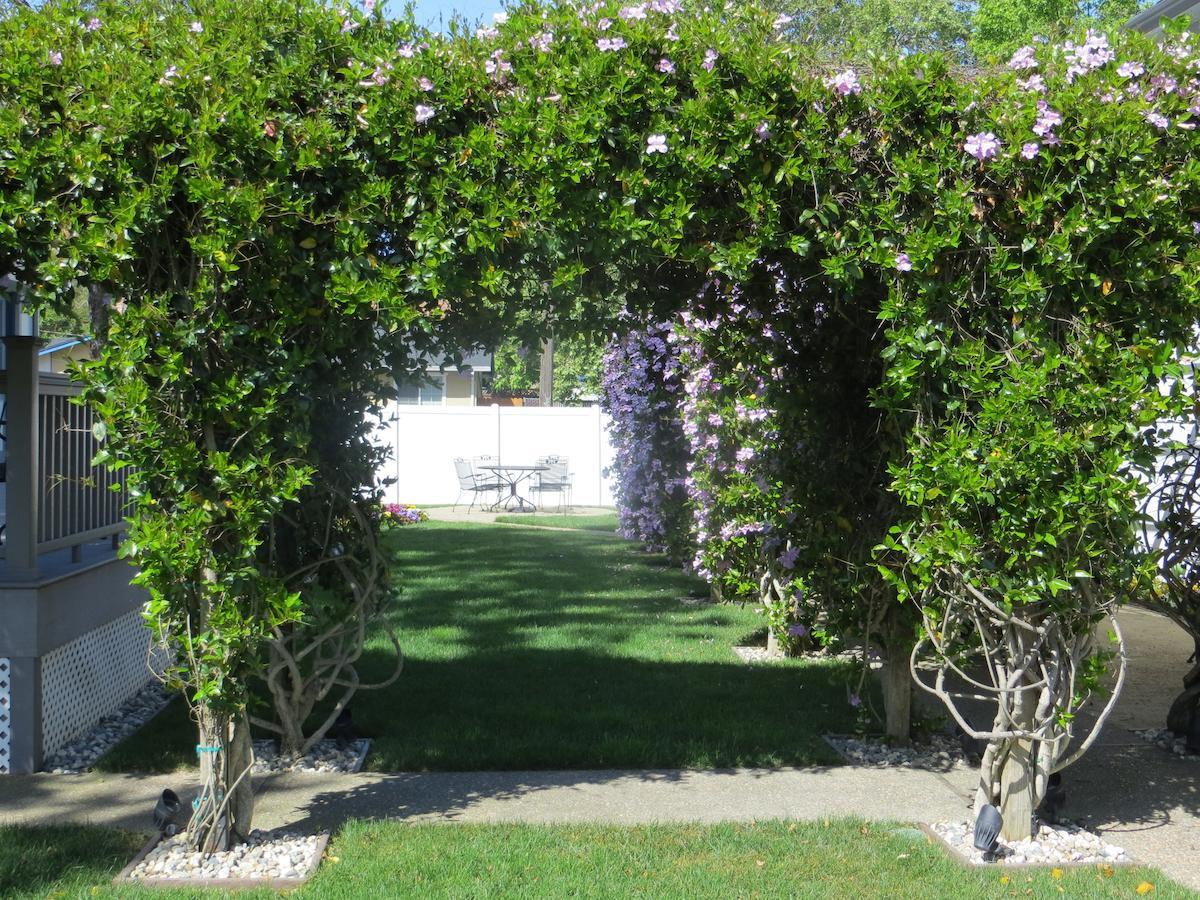 Arbor Guest House Napa Exteriér fotografie